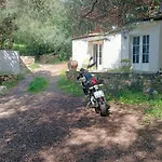 Berbi Rosse