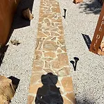 Carpediem_Corsica