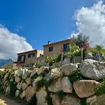 Bella Vita
