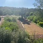 Porto-Vecchio - Lecci Lodge