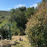 Camping Individuel Dans La Maquis Corse
