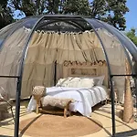 Dome Etoile