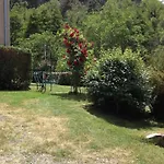 E Pezzole