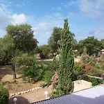 Cedrat