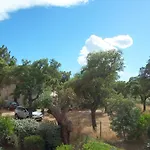 Cedrat