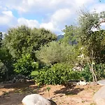 Fiorino