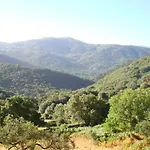 Rez De Villa