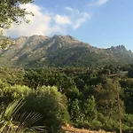 L'Oliveraie