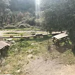 L'Oliveraie
