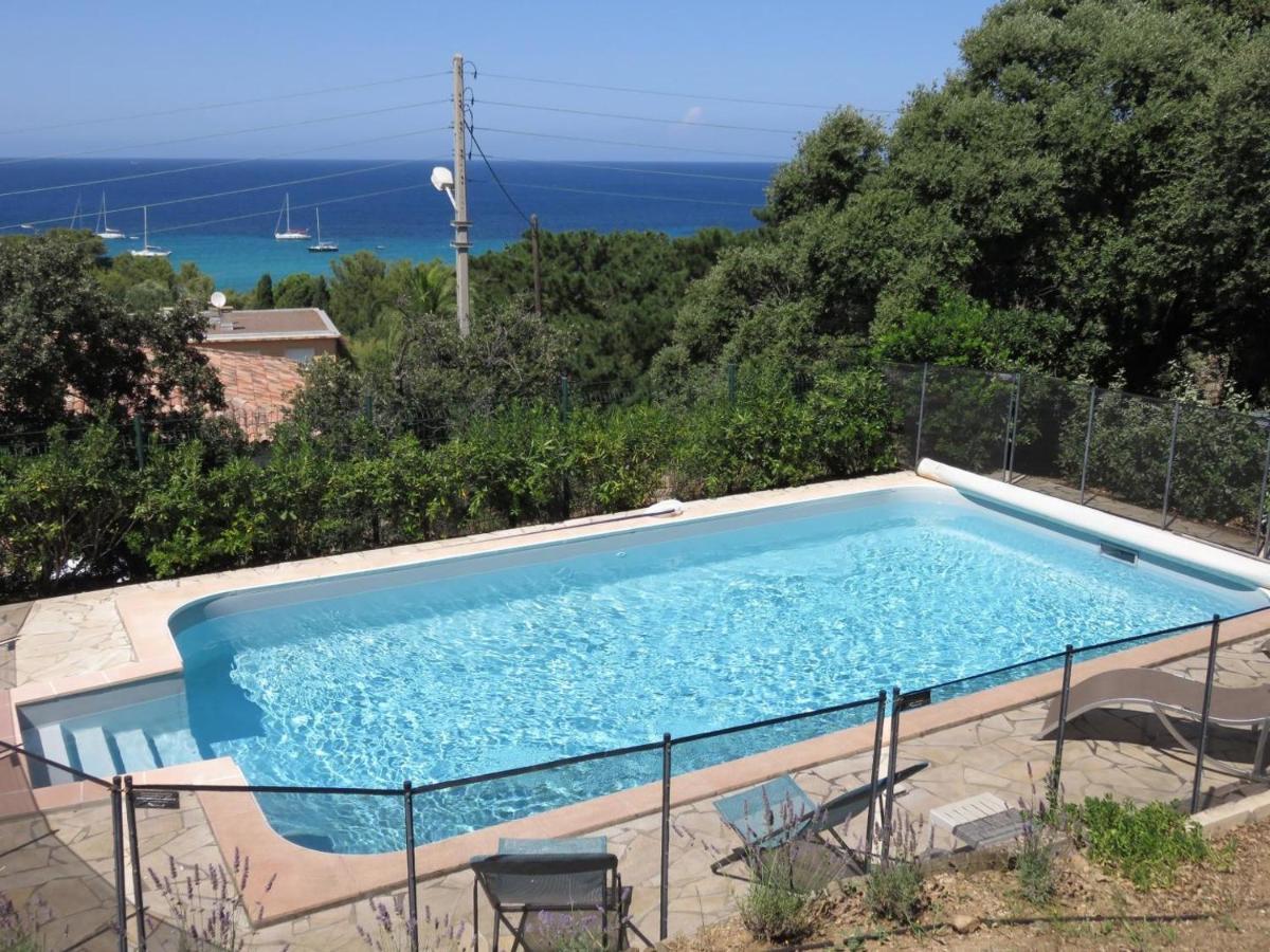 Bollaccia L'Ile-Rousse (Corsica)