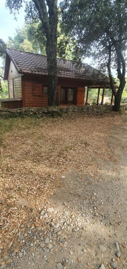 De Santa Chalet Corte (Corsica)