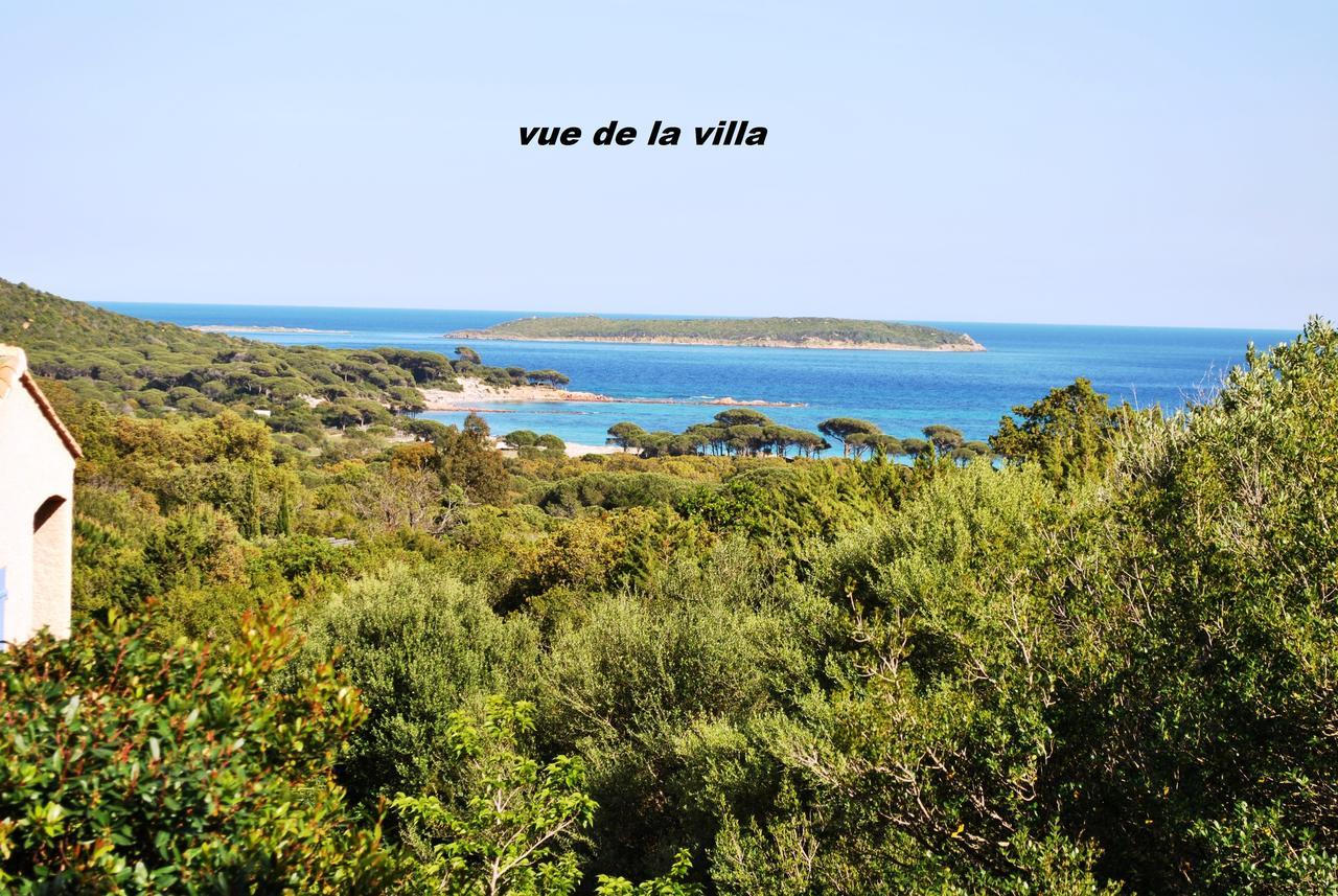 U Latonu *