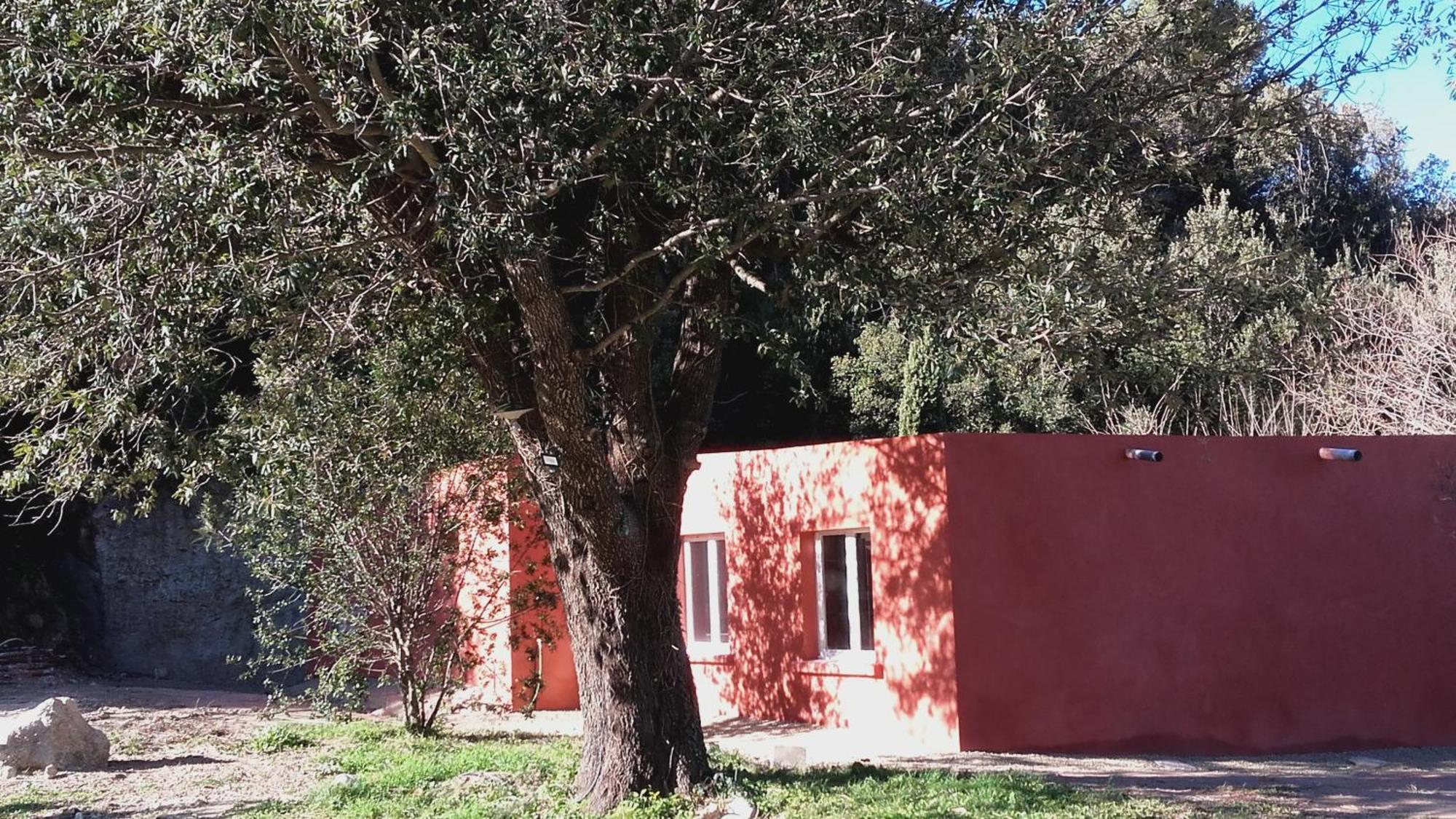 Hacienda, Villat4 De 110m2 Proche De St Florent 別荘 パトリモニオ