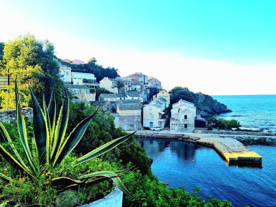 Maison De Pecheur Du Petit Port * Cagnano