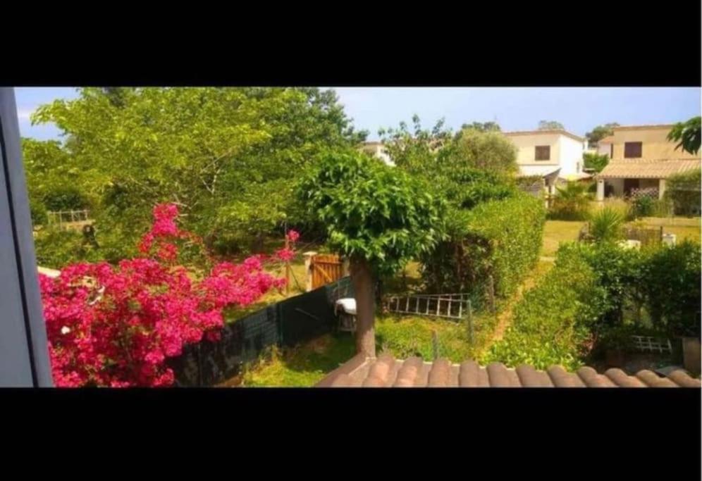 Casa Serena Avec Acces Direct Mer, Jardin Et Barbecue Ferienhaus Poggio Mezzana