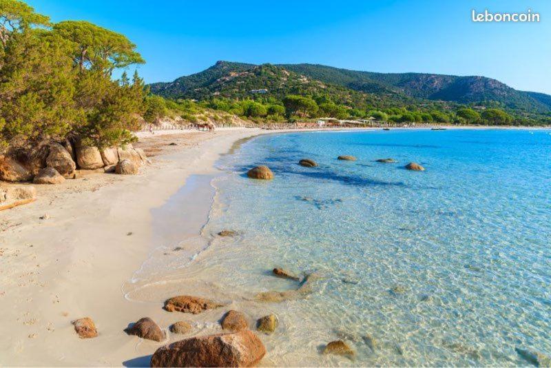 Corse Du Sud Fiori Di Cala Rossa T2 Rez De Jardin Dans Piscine Lecci