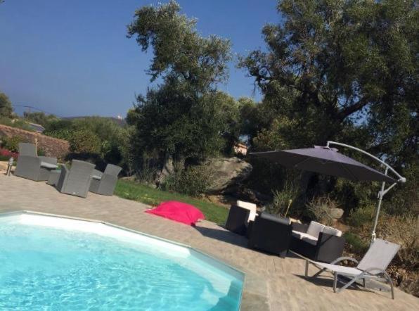 Luxe Bord De Mer, Jardin, Piscine