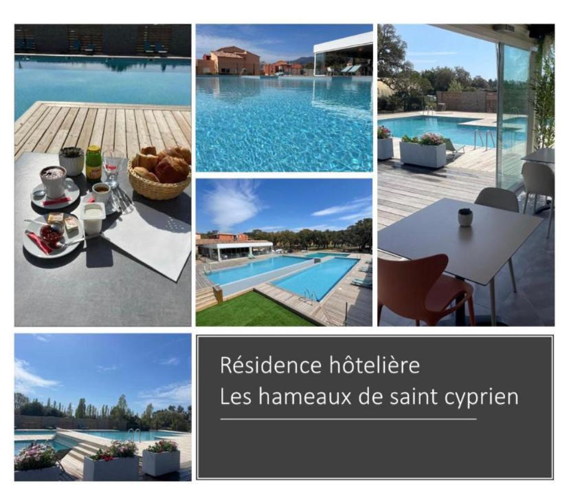 Aparthotel 2 Pieces Dans Hoteliere Les Hameaux De Saint-cyprien Lecci