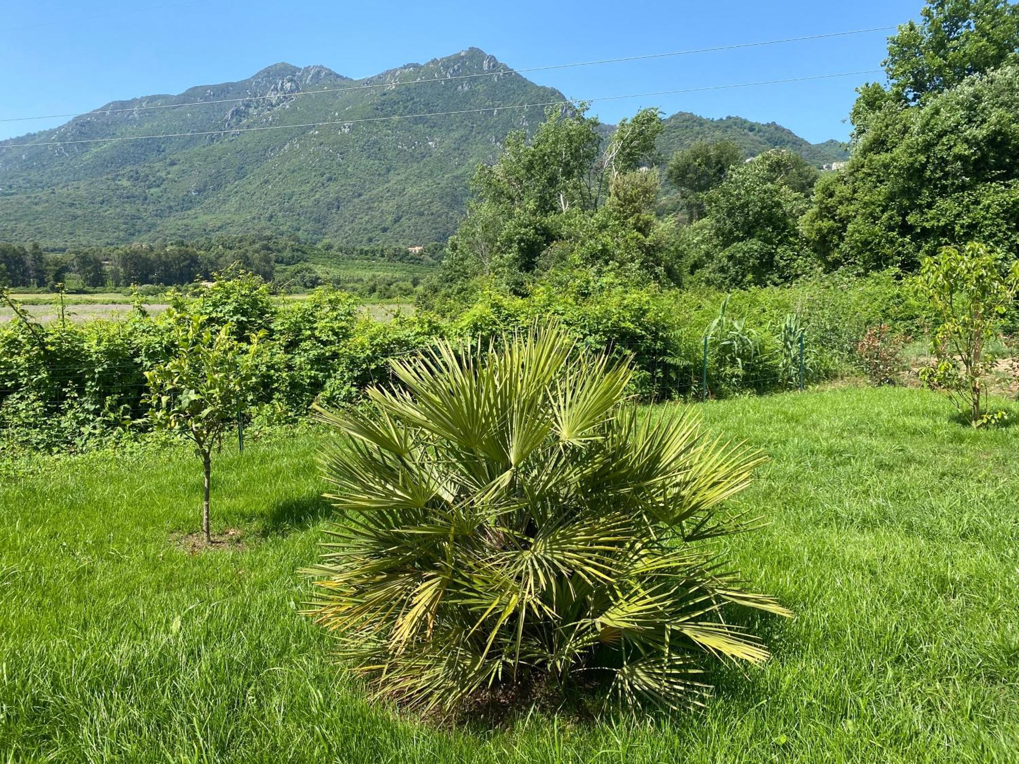 Terra Bella Costa T2 Classe 3 Etoiles *
