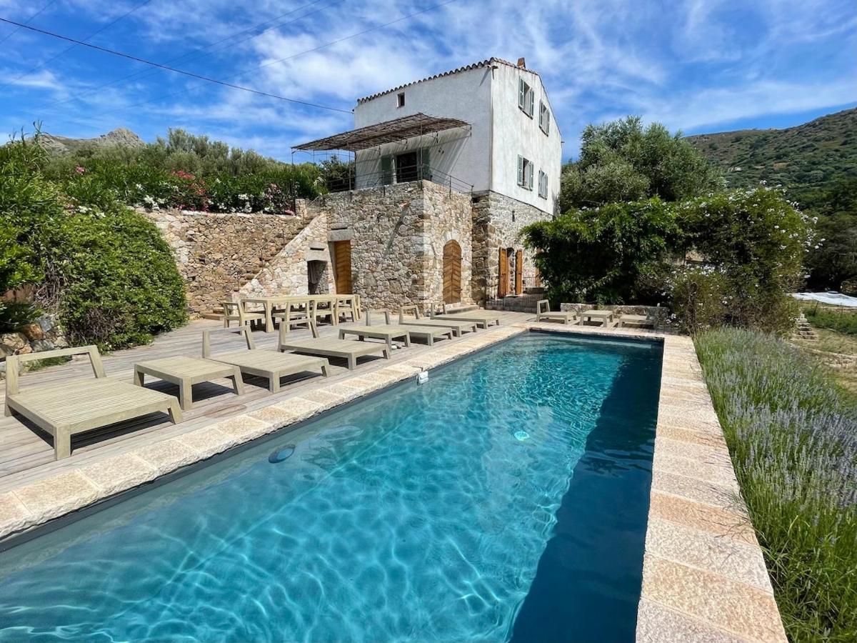 Villa Proche Avec Piscine Pigna