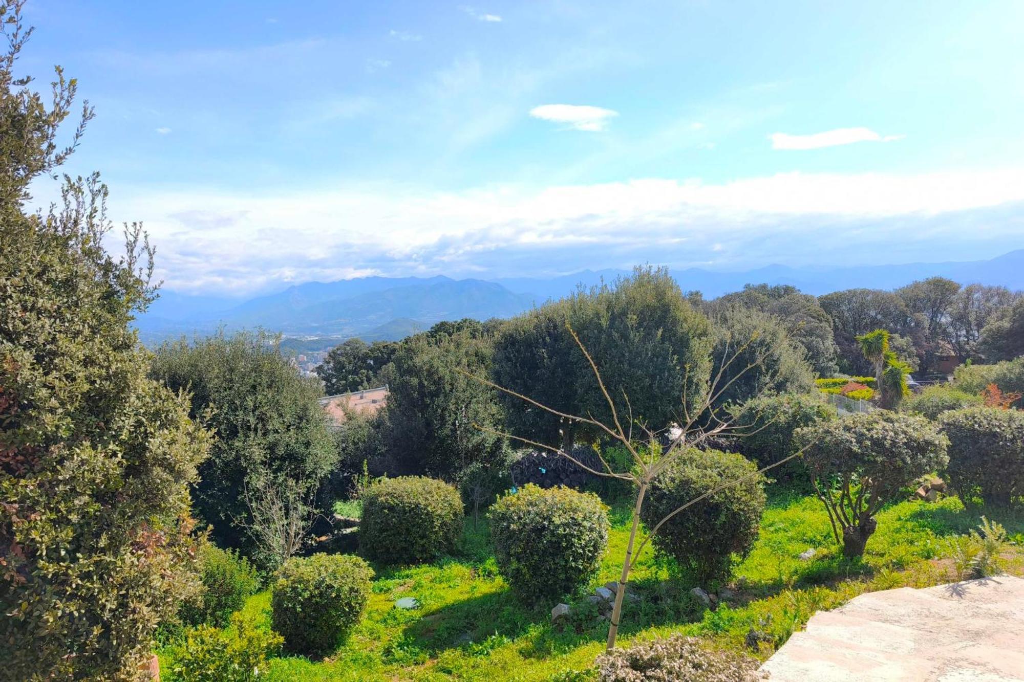 3 With Garden In Ajaccio (Corsica)