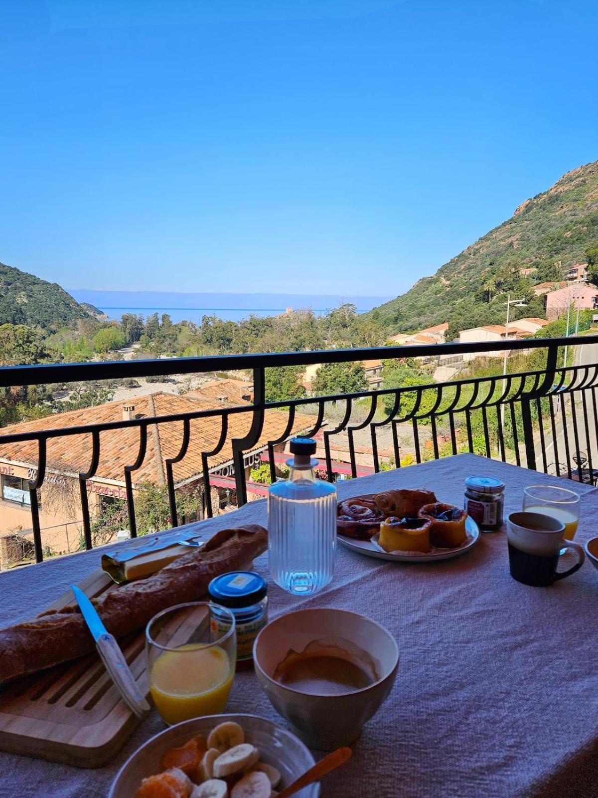 T2 Vue & Montagnes Porto (Corsica)
