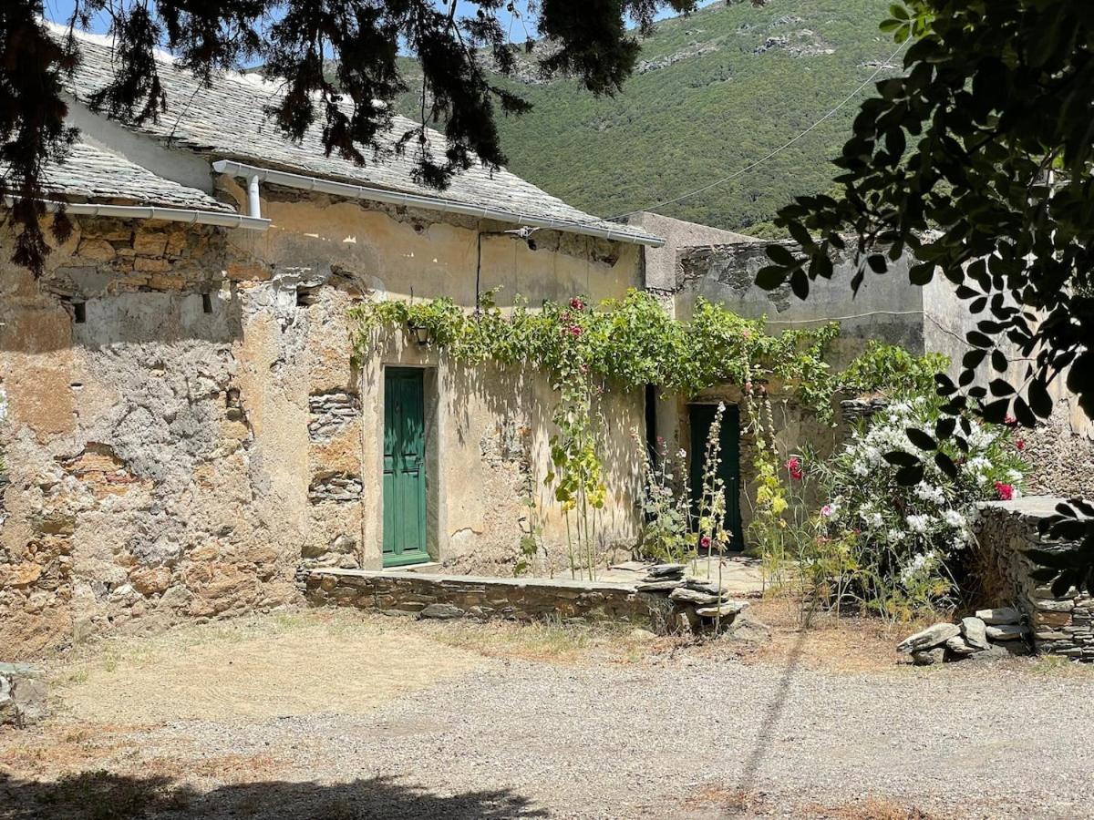 Maison Ancienne Renovee Avec Vue Sur Et Cap Corse *