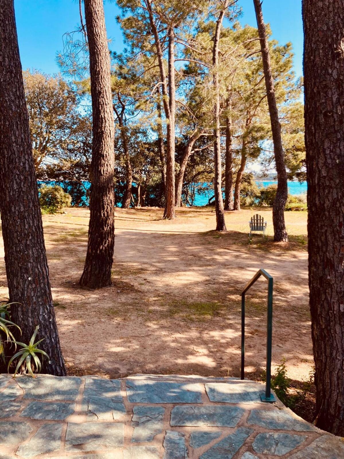 De Bord De Pinarellu