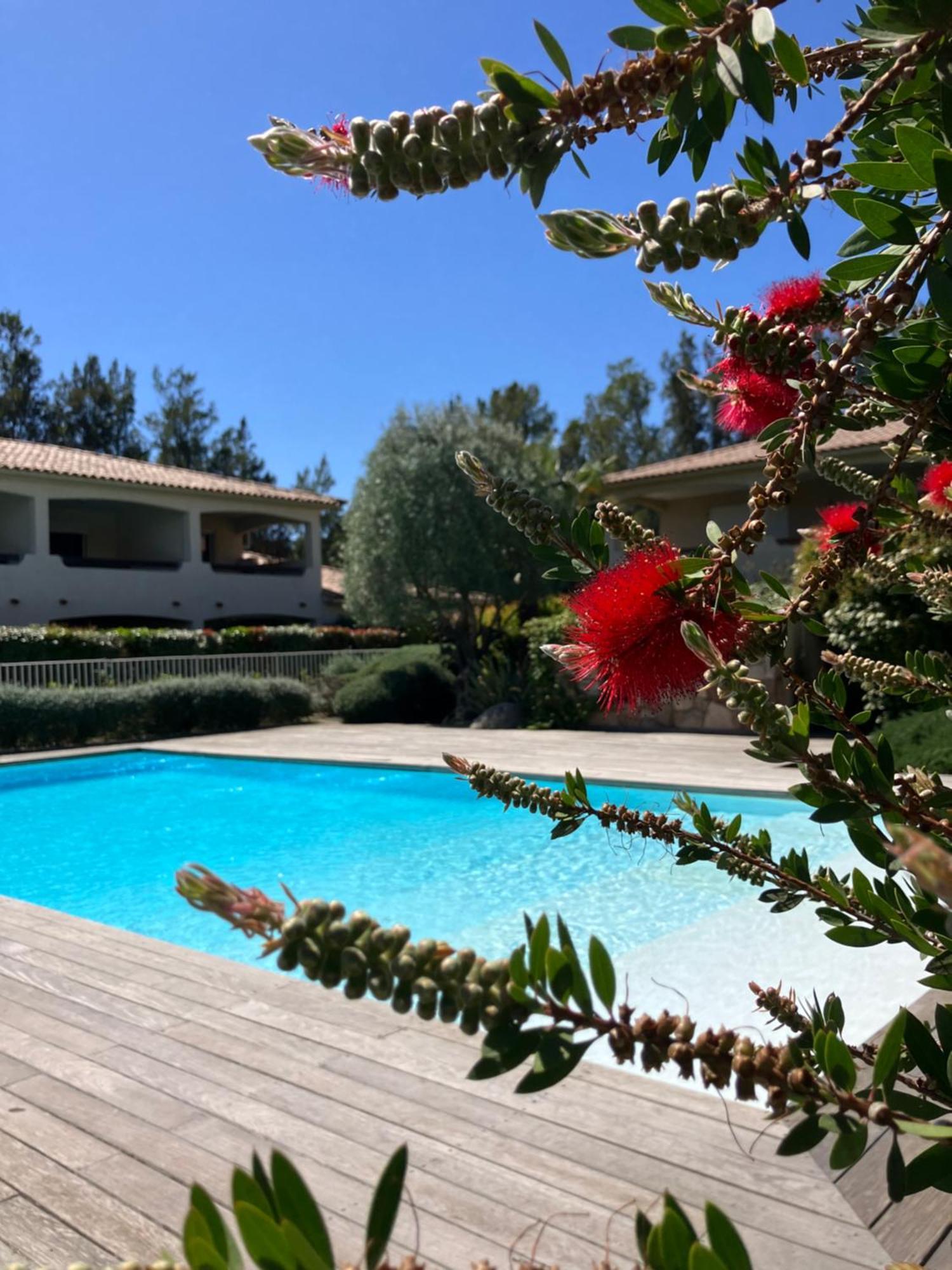 Les Jardins D'alzetu * Porto-Vecchio (Corsica)