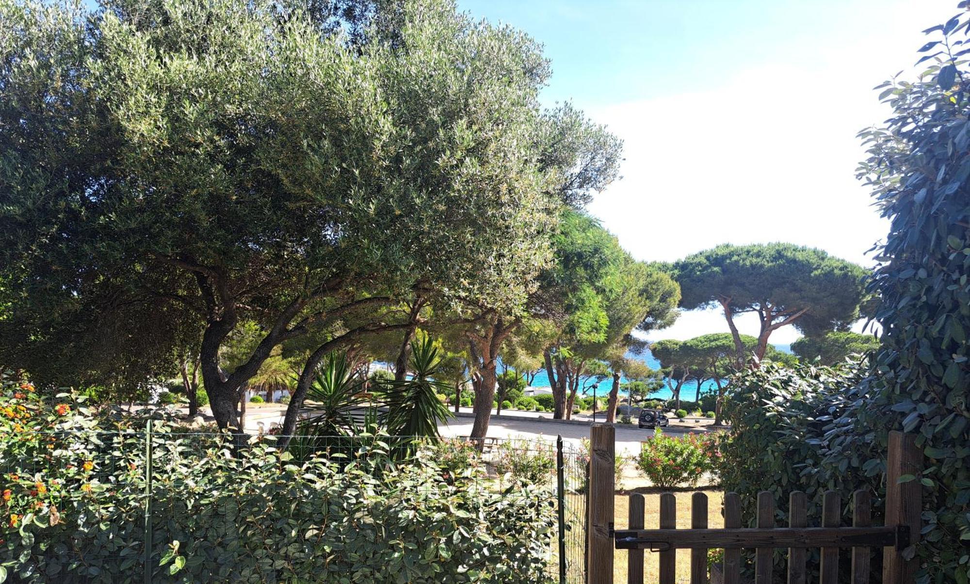 Holiday home Vaccagia - 2 - A 2 Pas De La Lumio (Corsica)
