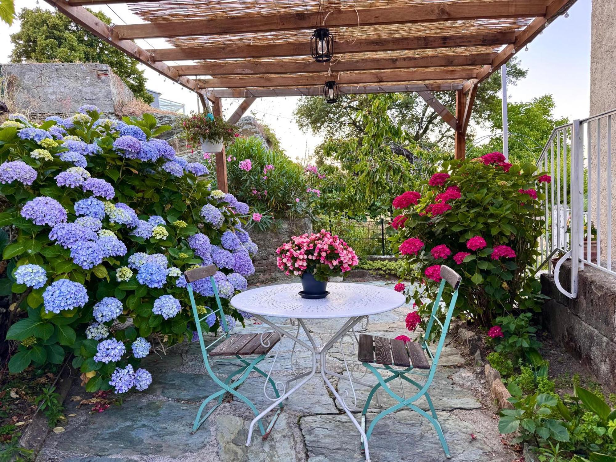 Maison Traditionnelle Avec Vues Sur St Michel Holiday home Murato