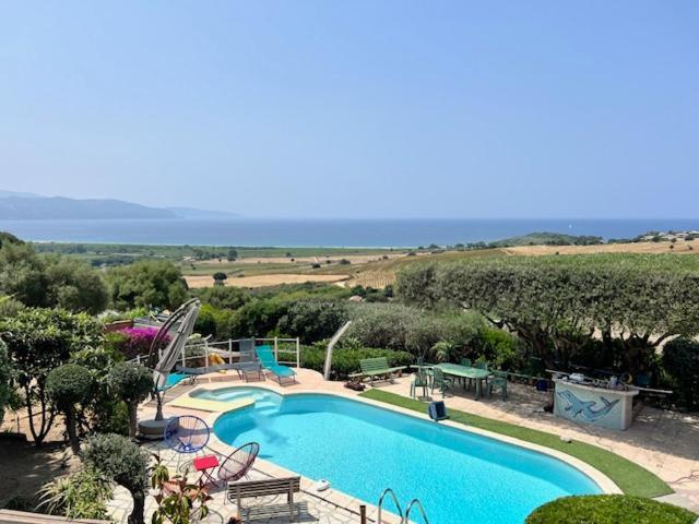 Vue Avec Piscine Et Jardin Arbore