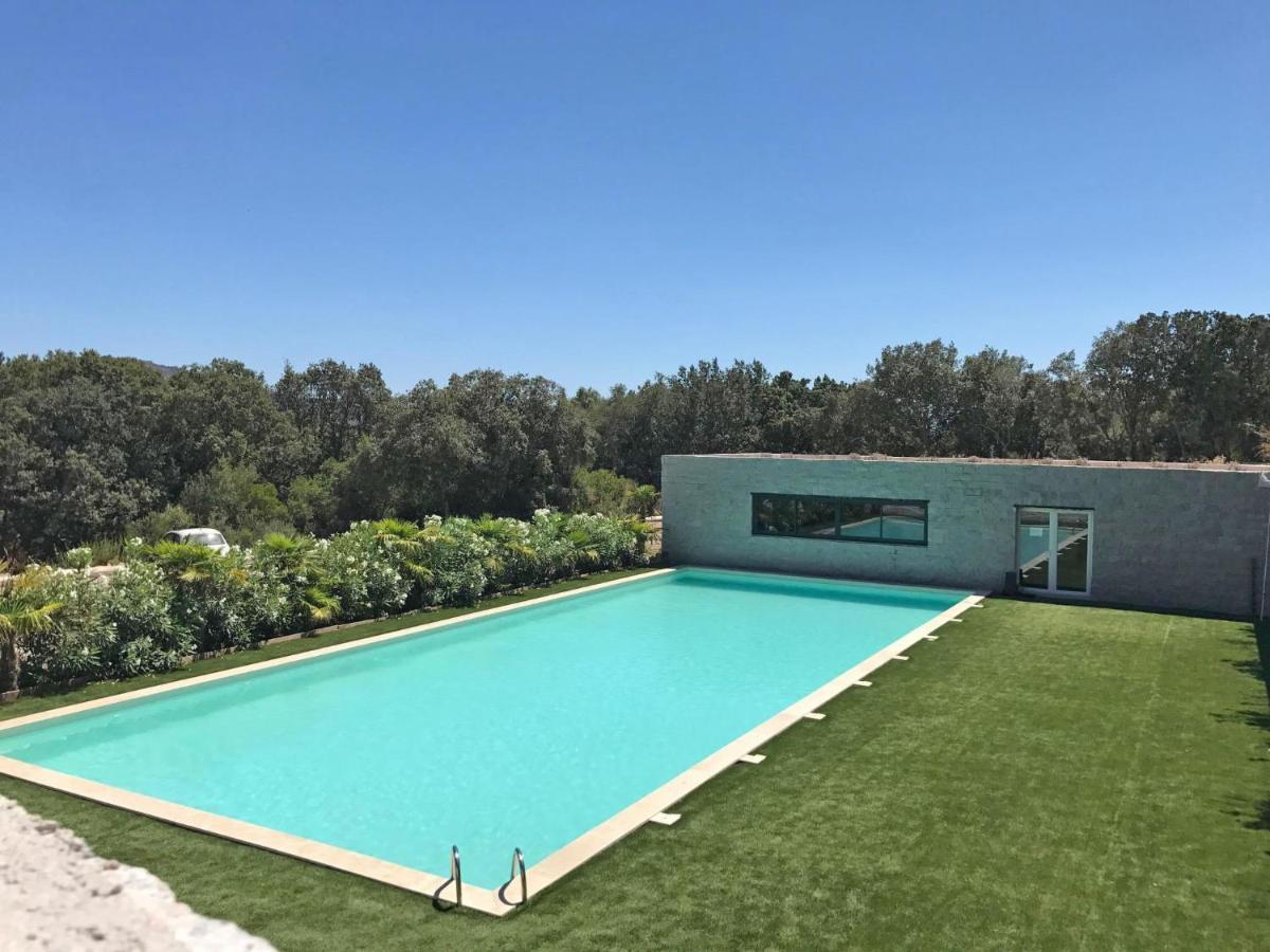 Le Palazzu-3 By Interhome *