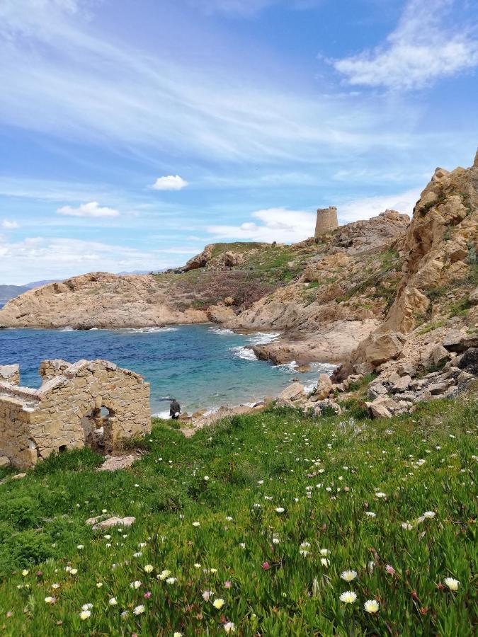 Joli En Corse Avec Piscine Belgodère