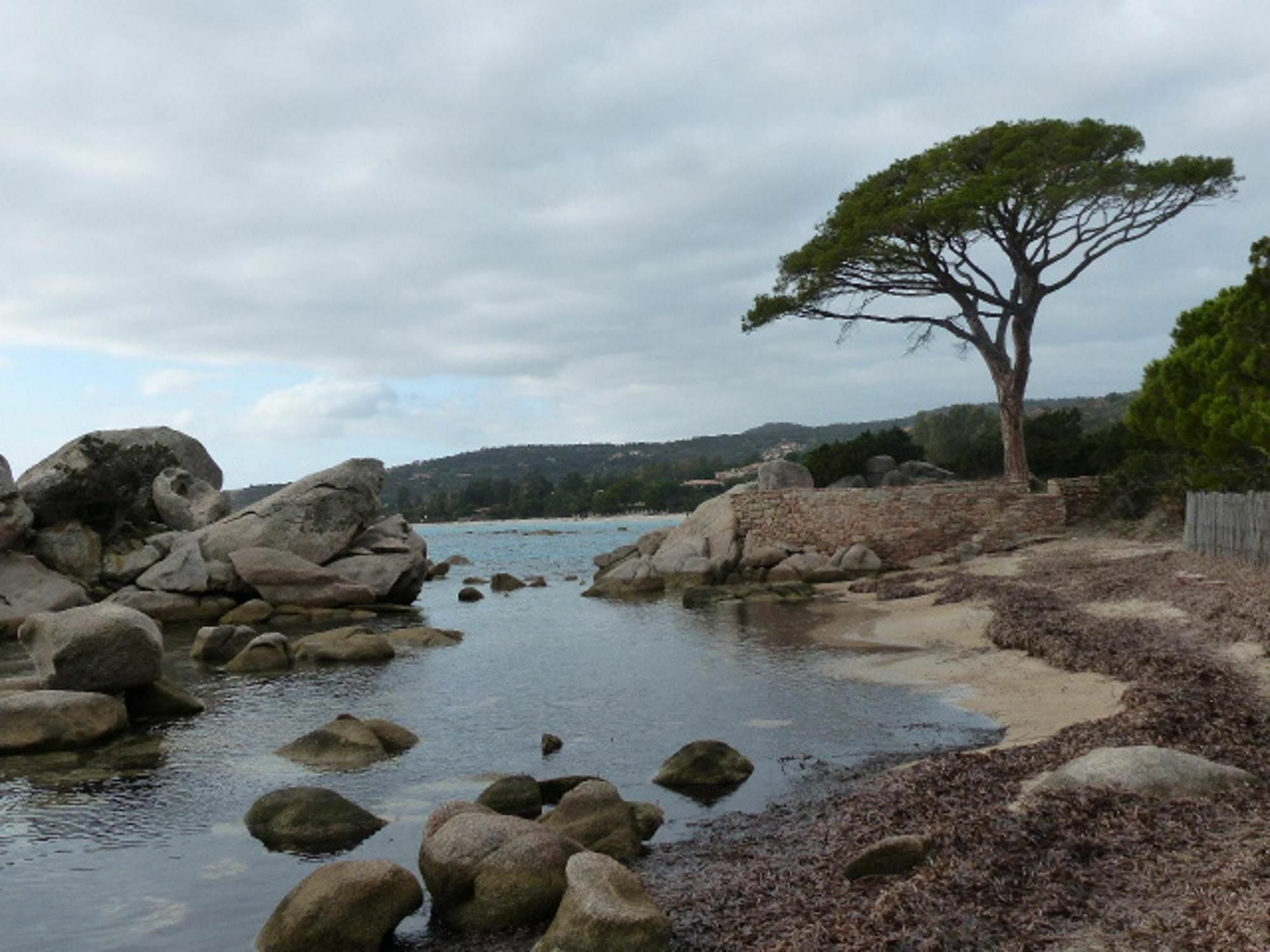 With 2 In Porto-vecchio, With Pool Access, Terrace And Apartamento