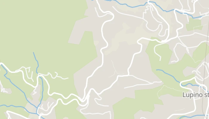 Térkép